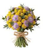 Yellow Craspedia with Scabiosa Bouquet - Flowers Box London
