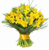 Yellow Daffodils Bouquet with Greenery - Flowers Box London