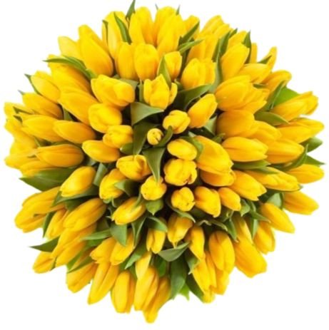 Yellow Tulips Bouquet - Flowers Box London