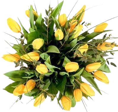 Yellow Tulips with Eucalyptus & Bear Grass Bouquet