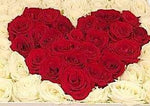 A Love Song Roses Box - Flowers Box London
