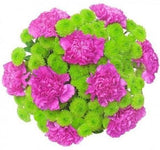 Amaranth in Green Flower Bouquet - Flowers Box London