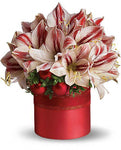 Amaryllis Festive Christmas Hat Box