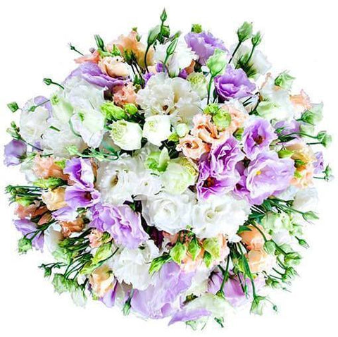 Amazing Rainbow Lisianthus Bouquet - Flowers Box London