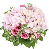 Hydrangea pink bouquet