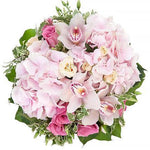 Hydrangea bouquet pink colour