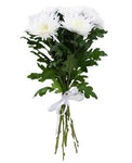 Anastasia White Chrysanthemum Bouquet