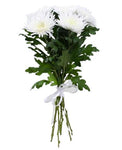 Anastasia White Chrysanthemum Bouquet - Flowers Box London