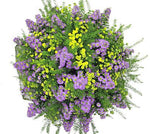 Aster with Tanacetum Bouquet