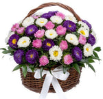 Asters Flowers in the Basket