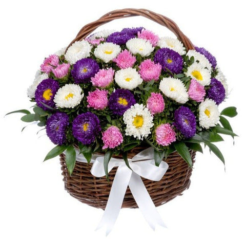 Asters Flowers in the Basket