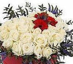 Aurore Heart Box