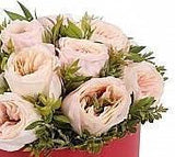 Ballerina Box Flowers - Flowers Box London