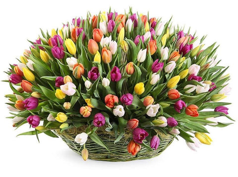 Basket of Colorful Tulips