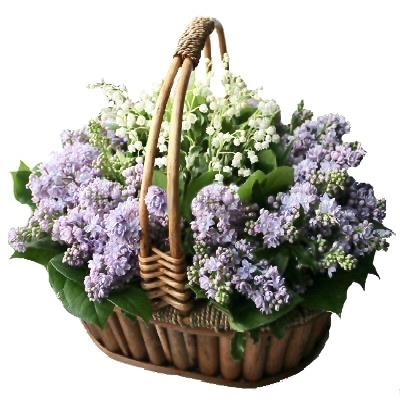 Basket of Lily of the Valley and Lilac - Flowers Box London