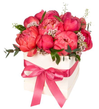 Beautiful Peonies Box - Flowers Box London