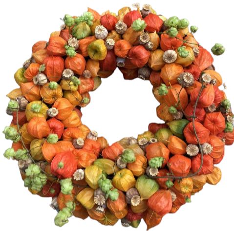 Beautiful Physalis Autumn Wreath