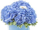 Bird on Blue Hat Box