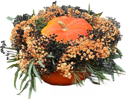 Black and Orange Baby's Breath Halloween Pumpkin - Flowers Box London