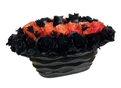 Black and Orange Roses in Pot