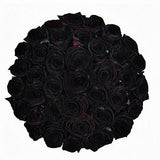 Black Roses Bouquet with Delivery