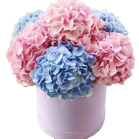 Blue and Pink Hydrangea Box