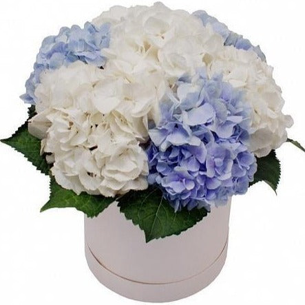 Blue and White Hat Box