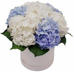 Blue and White Hat Box