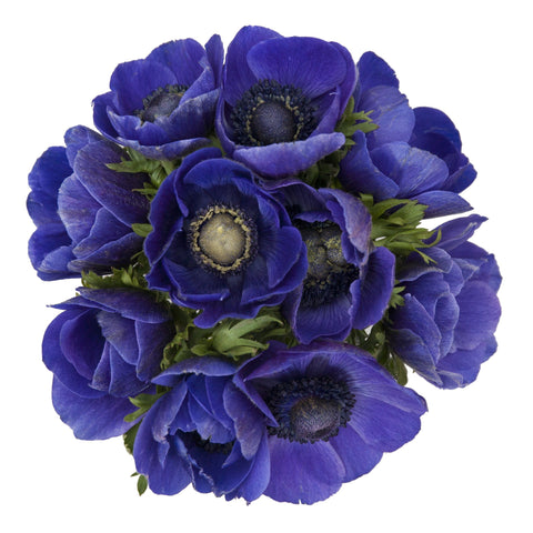 Blue Anemone Bouquet