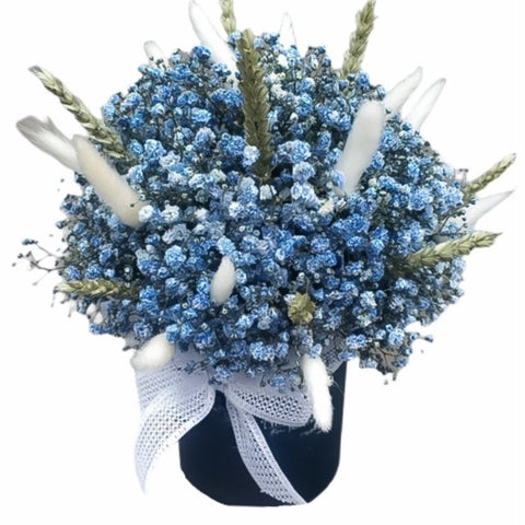 Blue Gypsophila in a Box