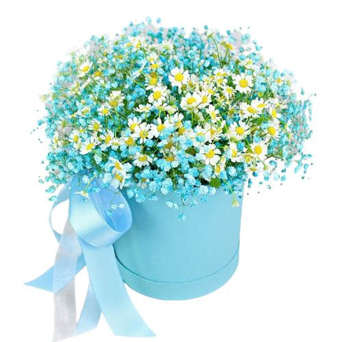 Blue Gypsophila with Tanacetum