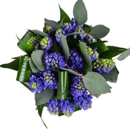 Blue Hyacinth with Greenery Bouquet