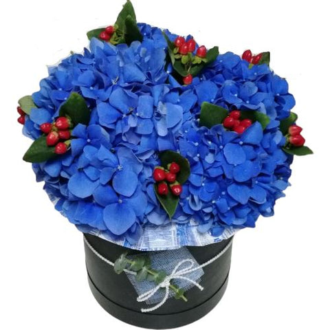Blue Hydrangea in a Box