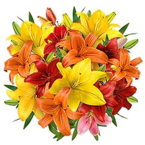 Bouquet of Colored Lily