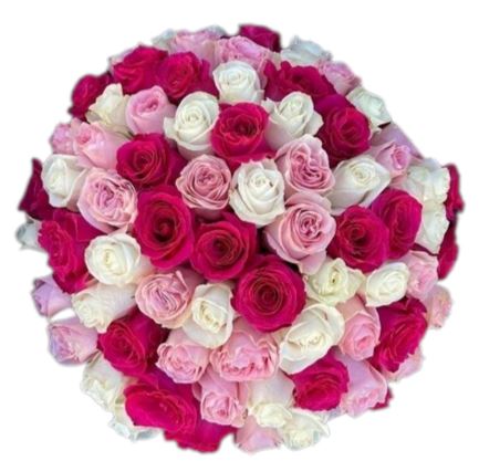 Bouquet of Pink Cerise and White Roses