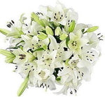 Bouquet of White Aztec Lily