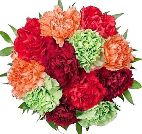 Bright Colored Carnation Bouquet