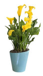 Calla Lily Ceramic Pot