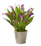 Calla Lily Ceramic Pot