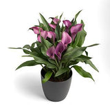 Calla Lily Ceramic Pot