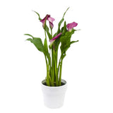 Calla Lily Ceramic Pot