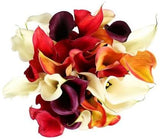 Calla Lily Mix Bouquet - Flowers Box London