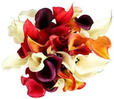 Calla Lily Mix Bouquet