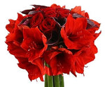 Carmen Bridal Bouquet