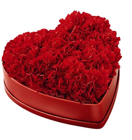 Carnation Heart Box