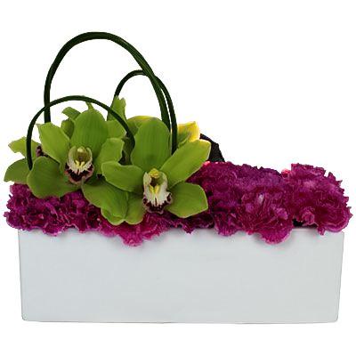 Carnation with Cymbidium Box - Flowers Box London