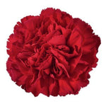 Carnations Hat Box