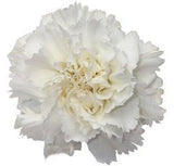 Carnations Hat Box