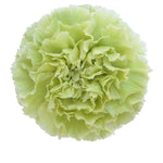 Carnations Hat Box
