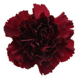 Carnations Hat Box